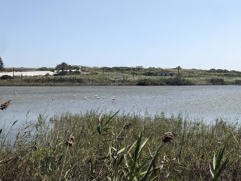 Riserva Pantano BARONELLO - Image 1
