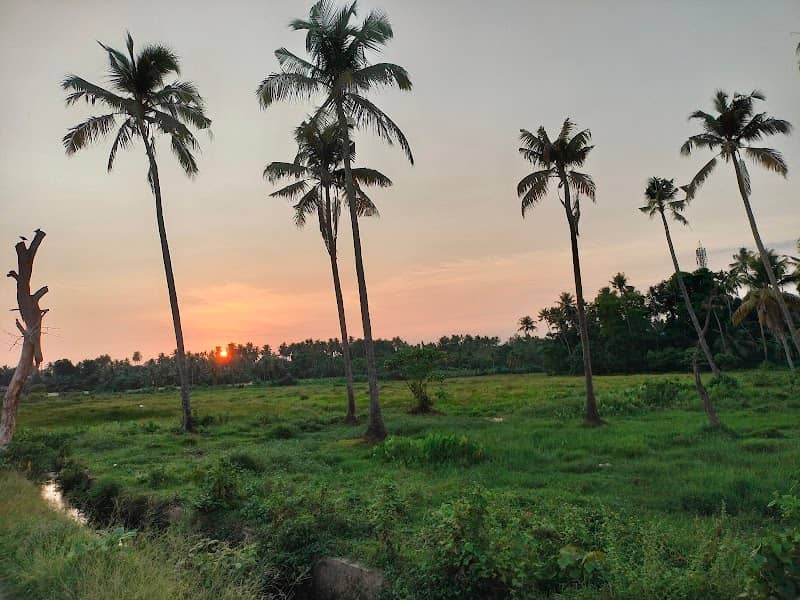 Kalanchira sunrise view point - Image 3
