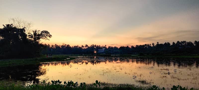 Kalanchira sunrise view point - Image 2