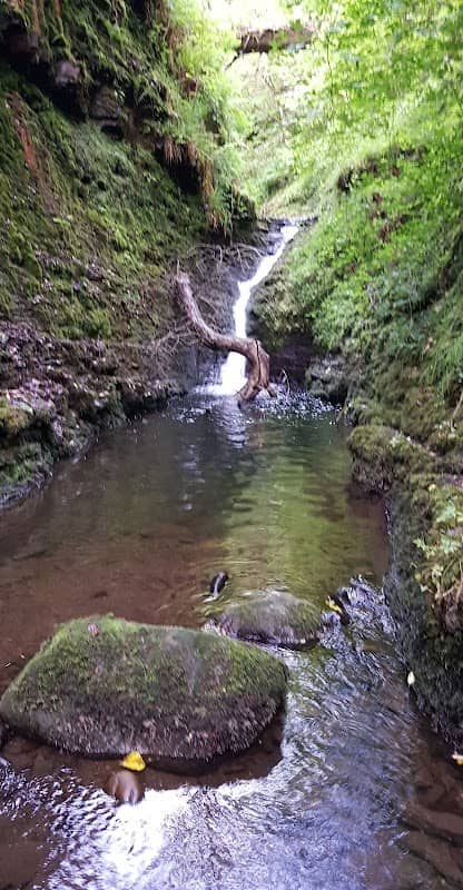 Dingle - Image 1