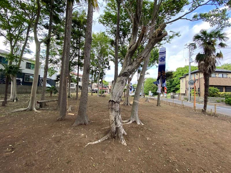 Nakazawa Midden Site - Image 1
