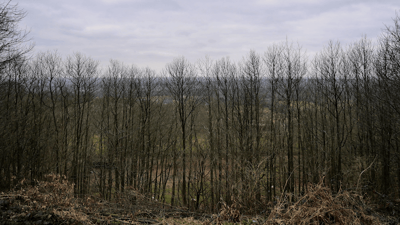 Tilburstow Hill - Image 2