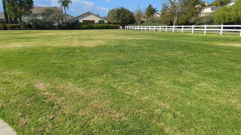 Shady Maple Park - Image 1