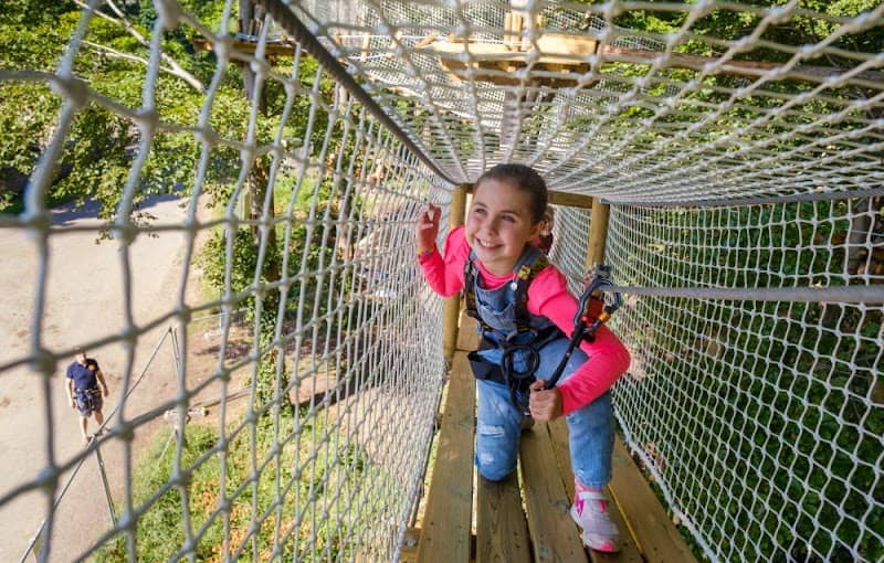 Go Ape Dalkeith - Image 1