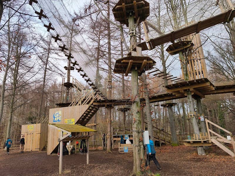 Go Ape Dalkeith - Image 2