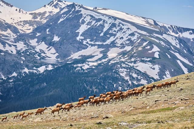 Trail Ridge Road: Rocky Mountain National Park Scenic Byway - Image 1