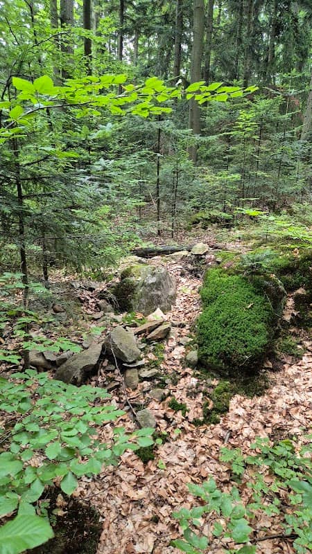 Skalna Górka - Image 1