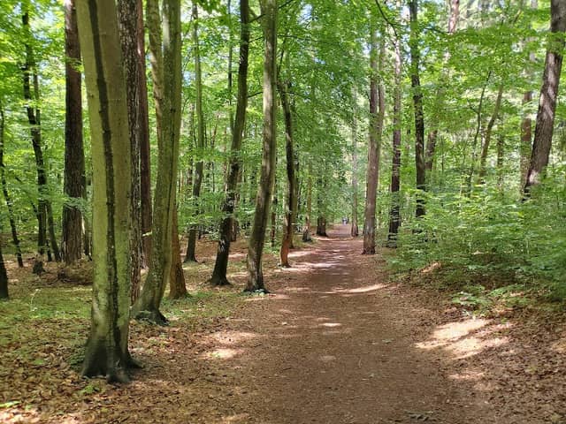 Ozdobne koło - Image 2