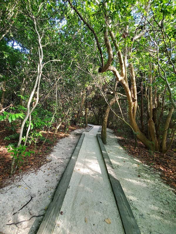 Ocean Ridge Hammock Park - Image 2