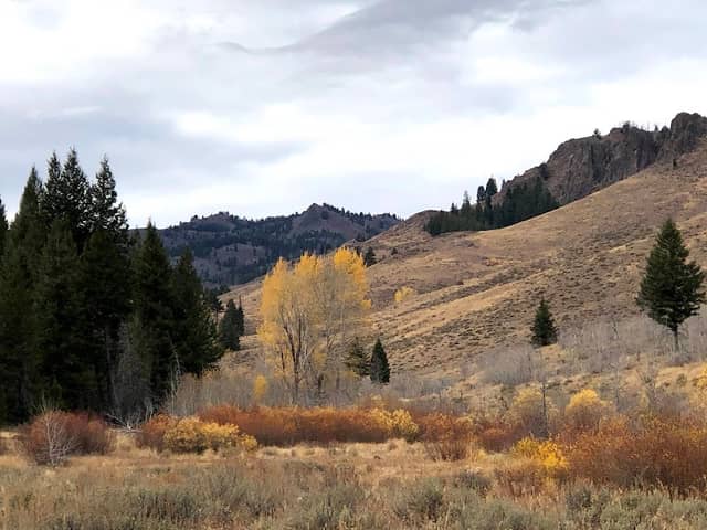 Adams Gulch Trailhead - Image 3