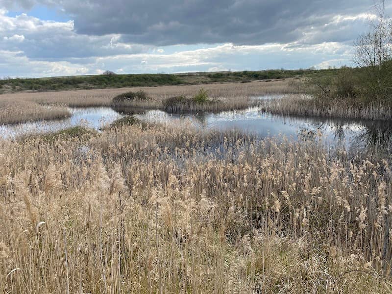 Dogsthorpe Star Pit - Image 1