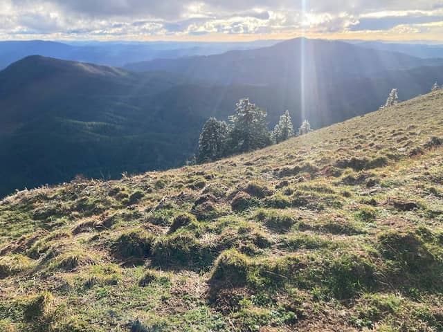 Marys Peak Summit - Image 1