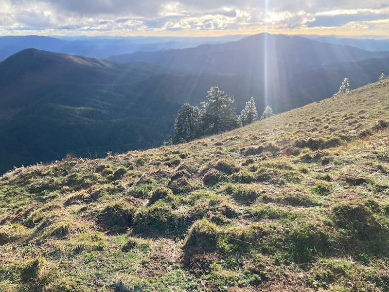 Marys Peak Summit - Image 1