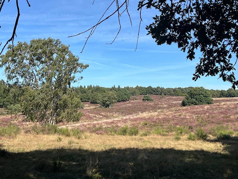 Mookerheide - Image 1