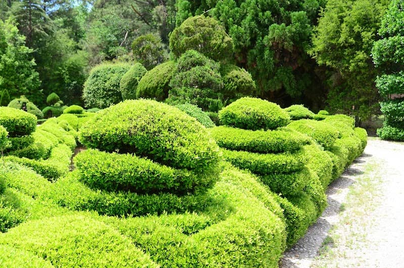 The Pearl Fryar Topiary Garden - Image 3