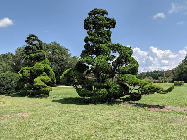 The Pearl Fryar Topiary Garden - Image 1