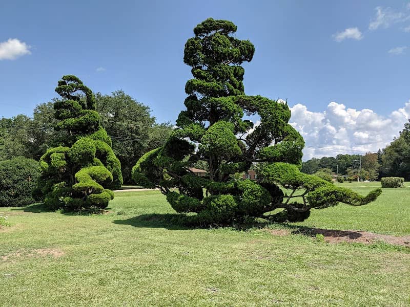 The Pearl Fryar Topiary Garden - Image 1