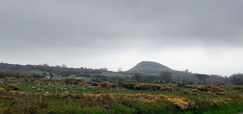 Fairy Hill of Tiveragh - Image 2