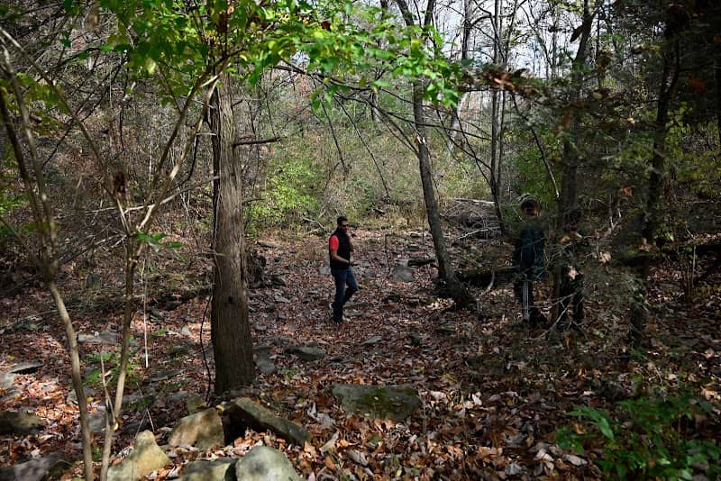 Shoal creek park - Image 2