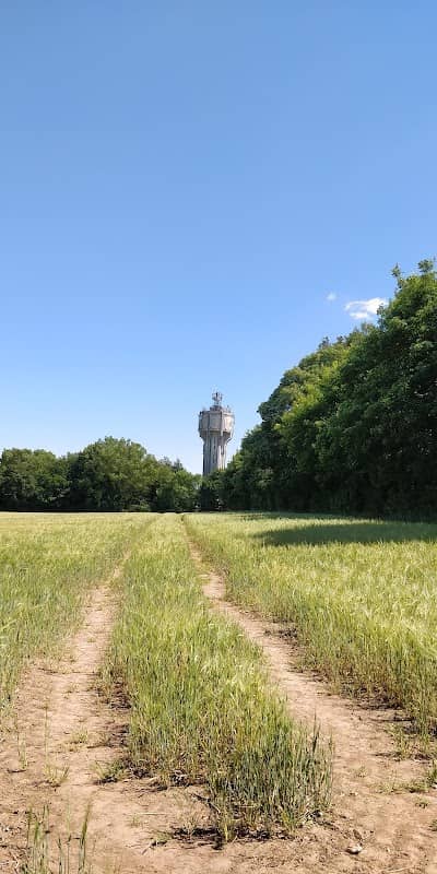 Skitteridge Wood - Image 1