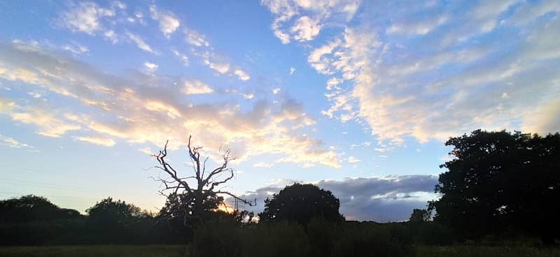 Hazel Wood - Image 1