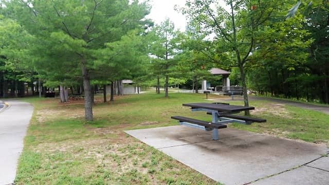 Platte River Picnic Area - Image 1