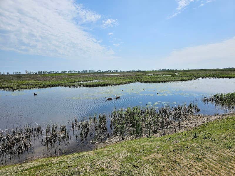 Big Creek National Wildlife Area - Image 1