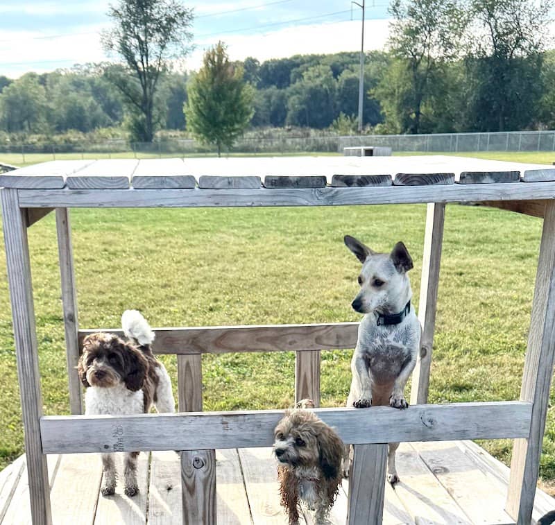 Tiffin Dog Park (Membership Required) - Image 2
