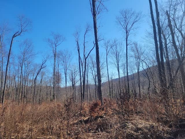 State Game Lands Number 57 - Image 2