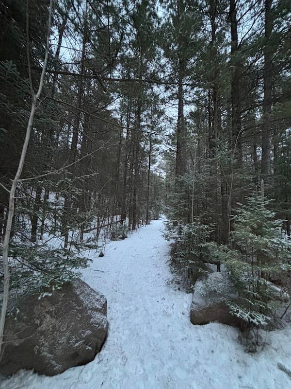 Donald D. Ferguson Demonstration Forest - Image 1