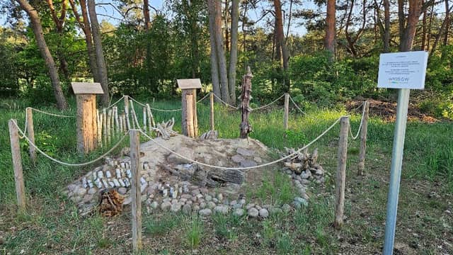 ZAPEWNIENIE ROZWOJU I PRZEŻYCIA DZIKICH OWADÓW - Image 1