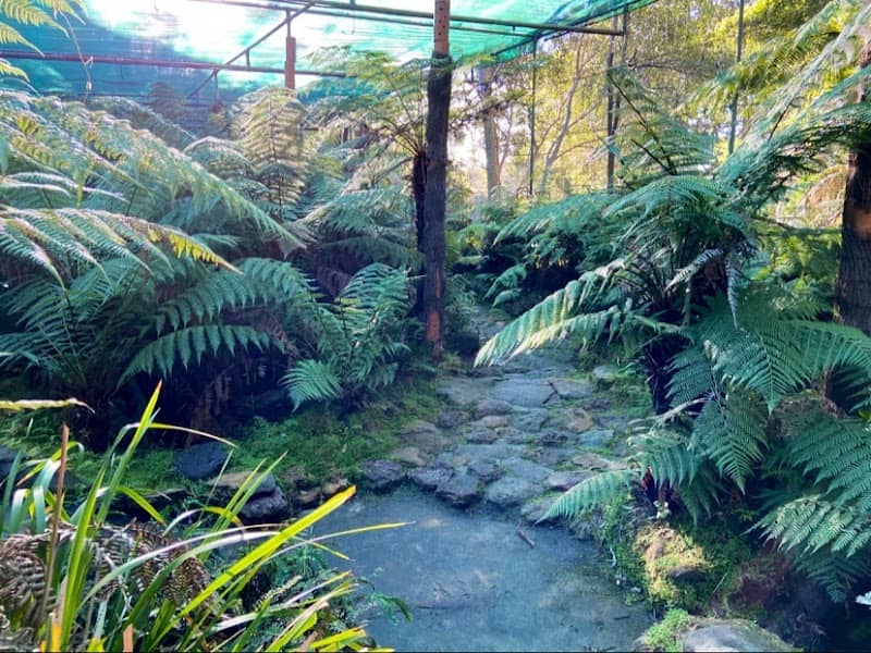 Fern House - Image 1