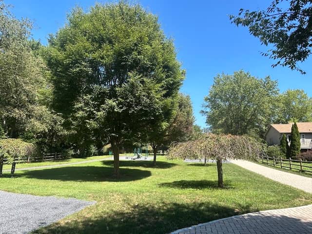Bridgeview Park - Image 2