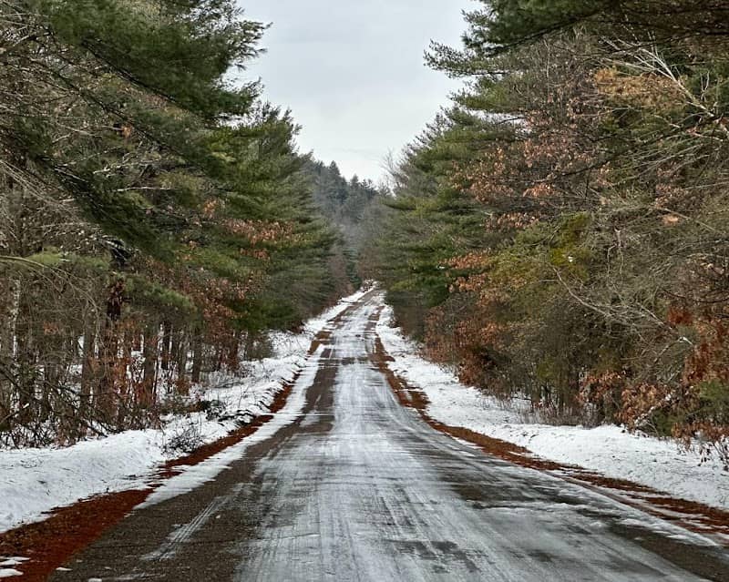 Washburn Marsh State Natural Area - Image 2