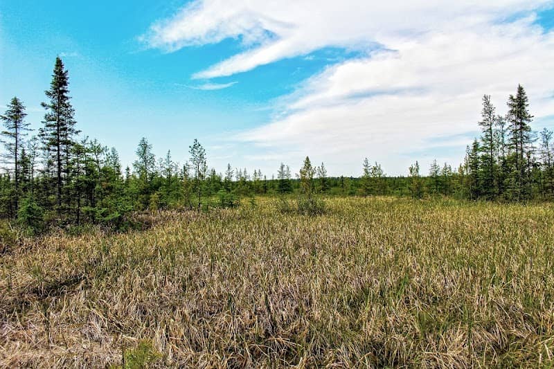 Washburn Marsh State Natural Area - Image 1