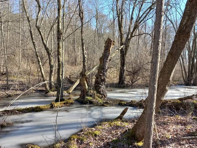 Gifford Road Trail - Image 1