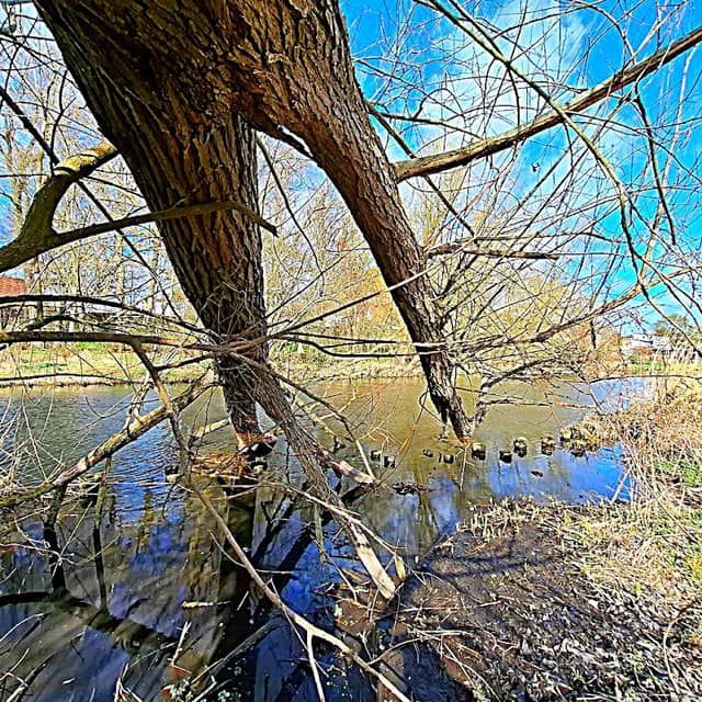 Jungfernsteg - Image 1