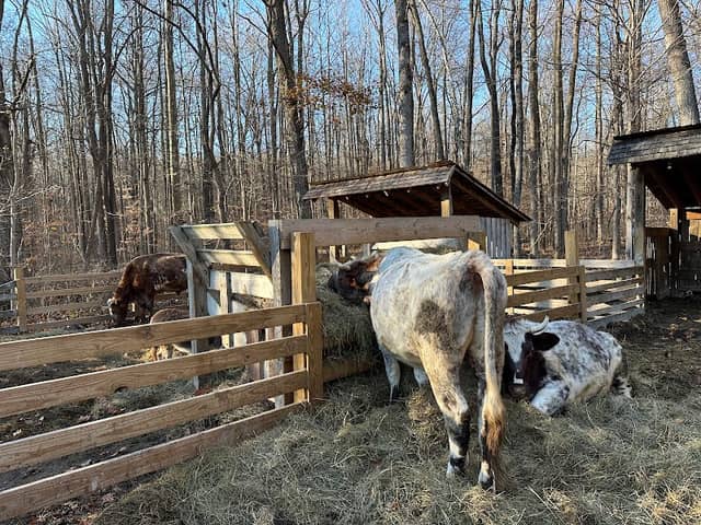 Nature Center and Haypress - Image 2