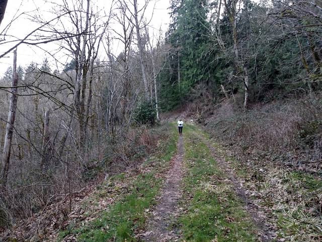 Hillside Park - Image 2