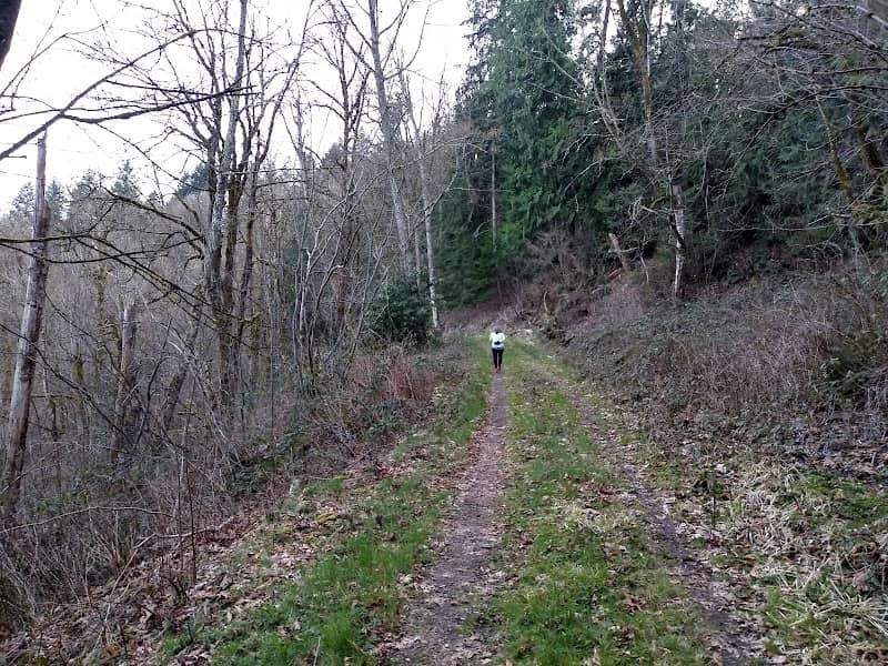 Hillside Park - Image 2