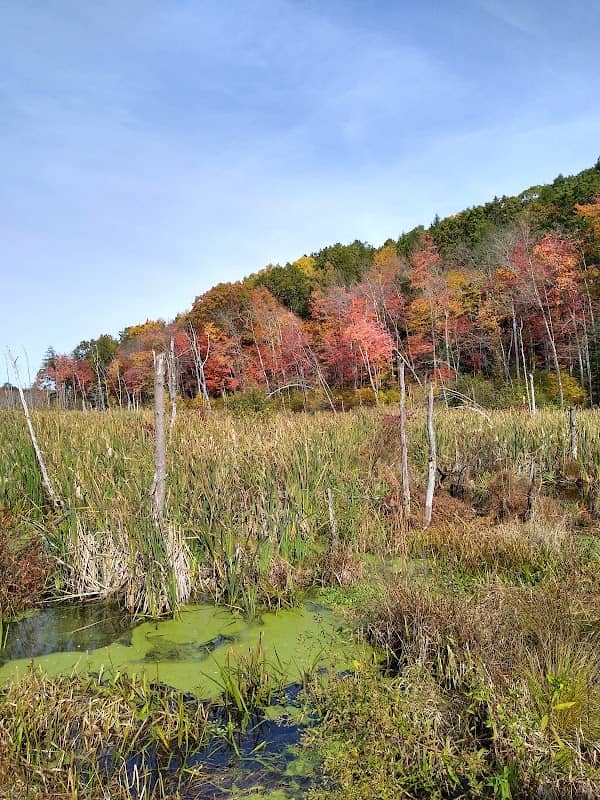 MA NET: Section 03 (Metacomet-Monadnock Trail) - Image 2