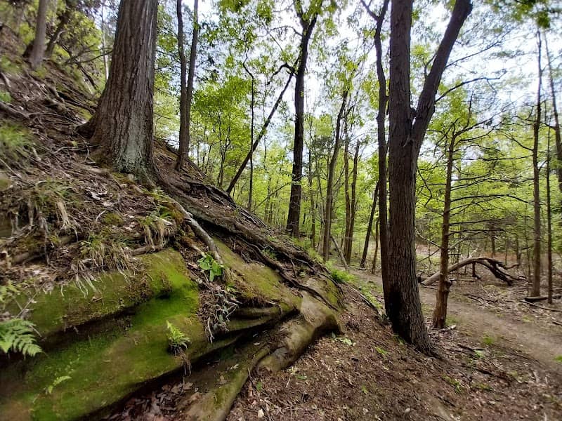 Round Bluff Nature Preserve - Image 1