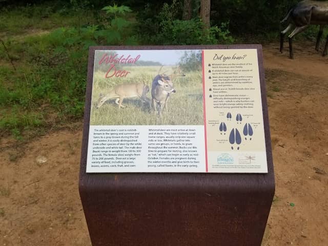 Wildlife Encounter Nature Trail - Image 2