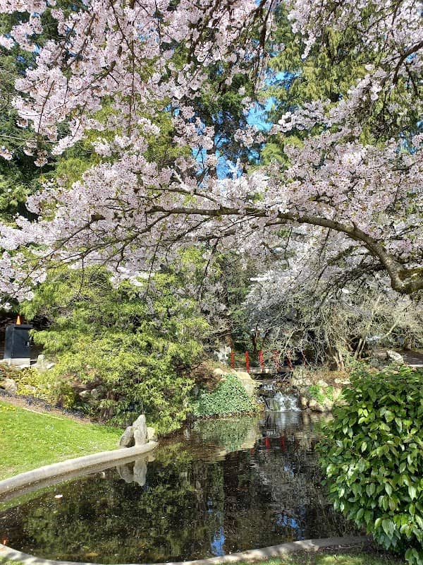Tipperary Park - Image 1
