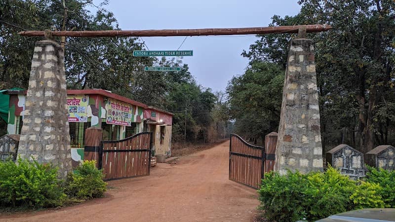 Adegaon Dewada Agarzari Buffer Safari Gate Tadoba - Image 1