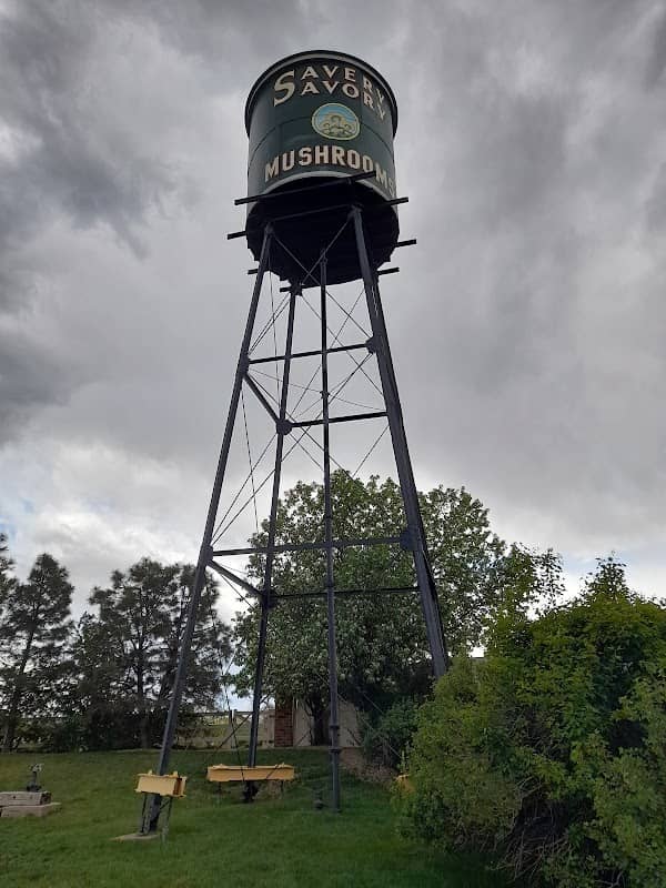 Savery Savory Mushrooms Tower - Image 1