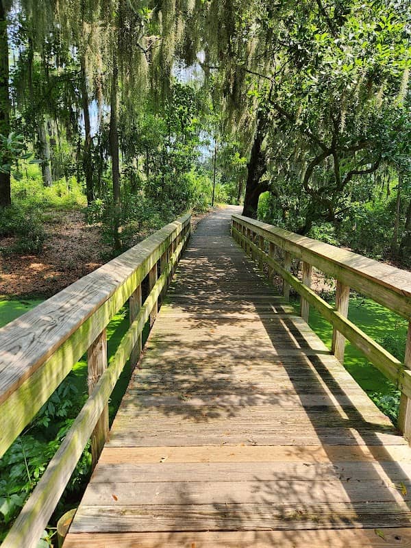Cypress Wetlands - Image 3