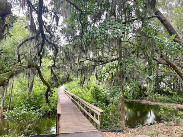 Cypress Wetlands - Image 1