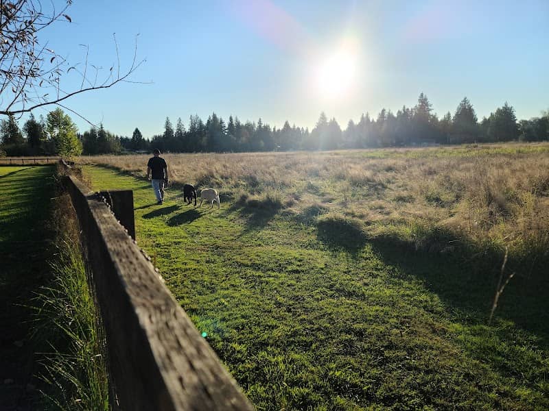 Strawberry Fields Off-Leash Dog Park - Image 1