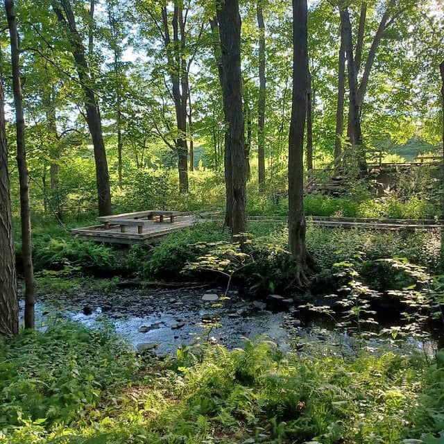 Mt Holyoke Stream Restoration Project Boardwalk - Image 1